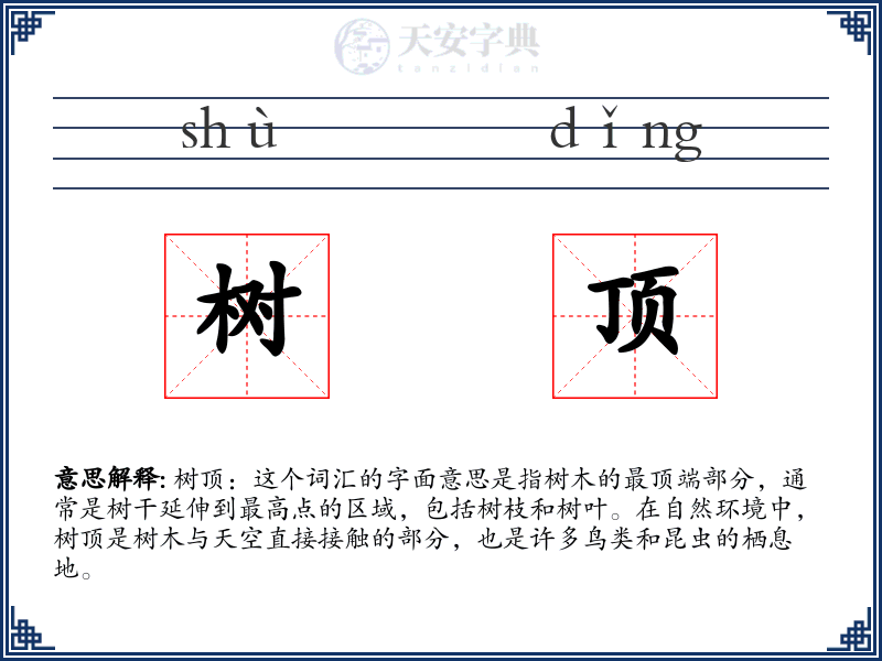 树顶