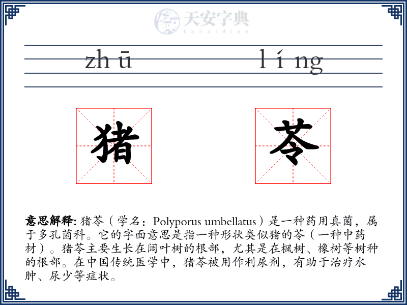 猪苓