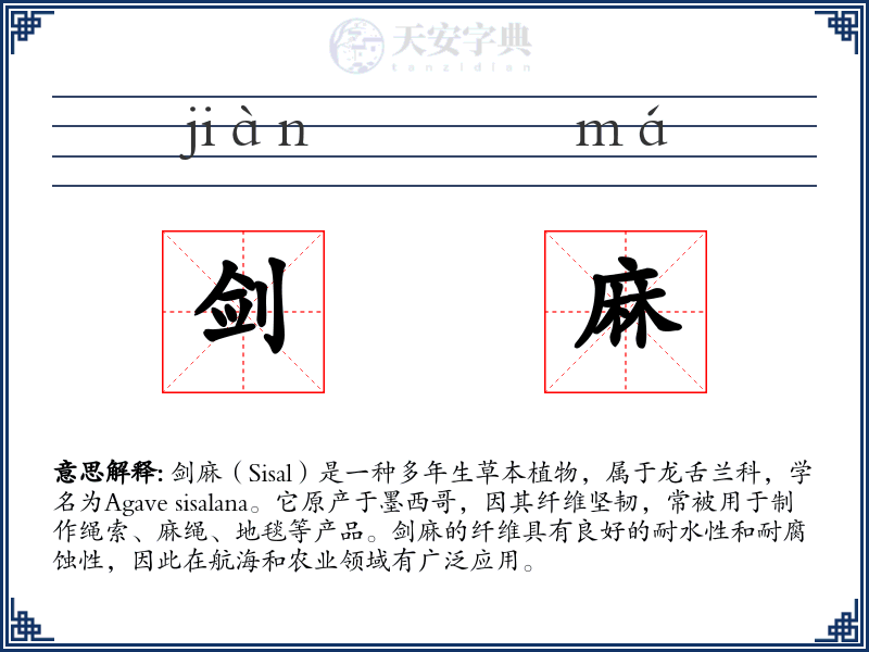 剑麻