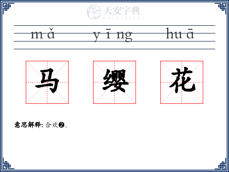 马缨花