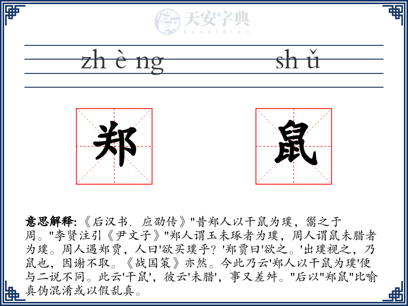 郑鼠
