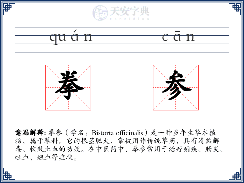 拳参