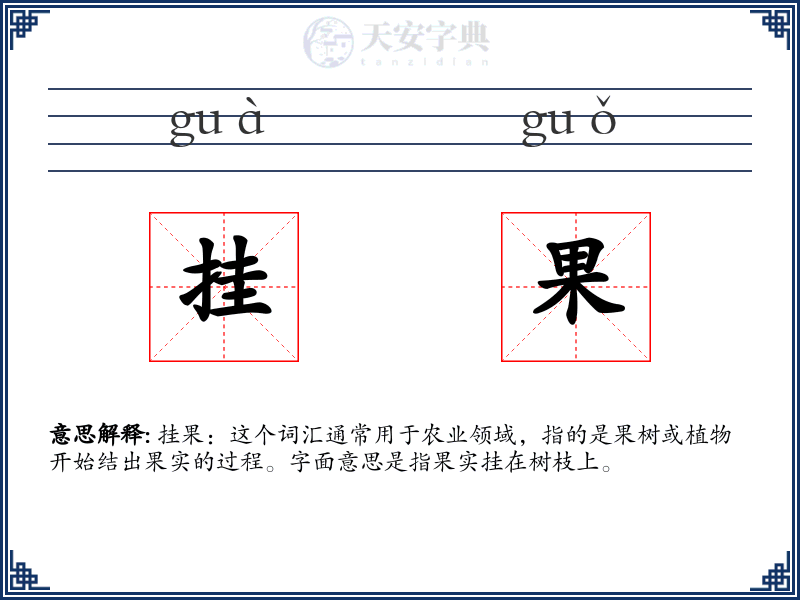 挂果