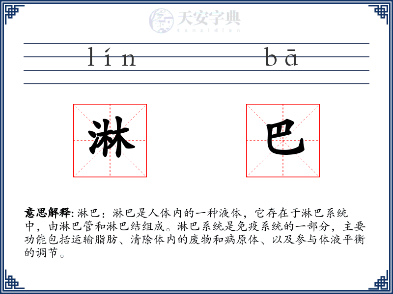 淋巴