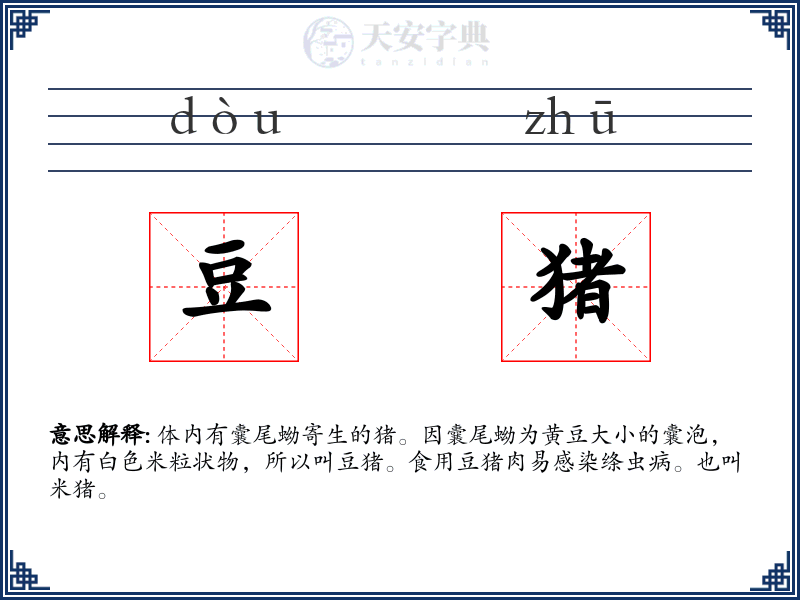 豆猪