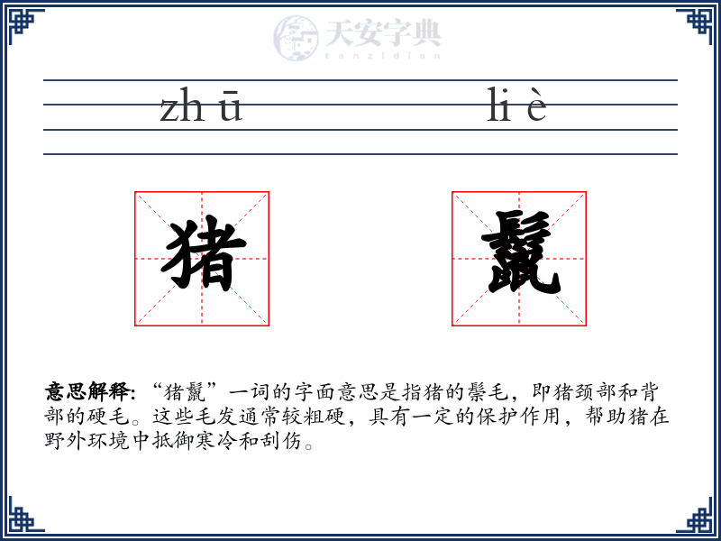 猪鬣