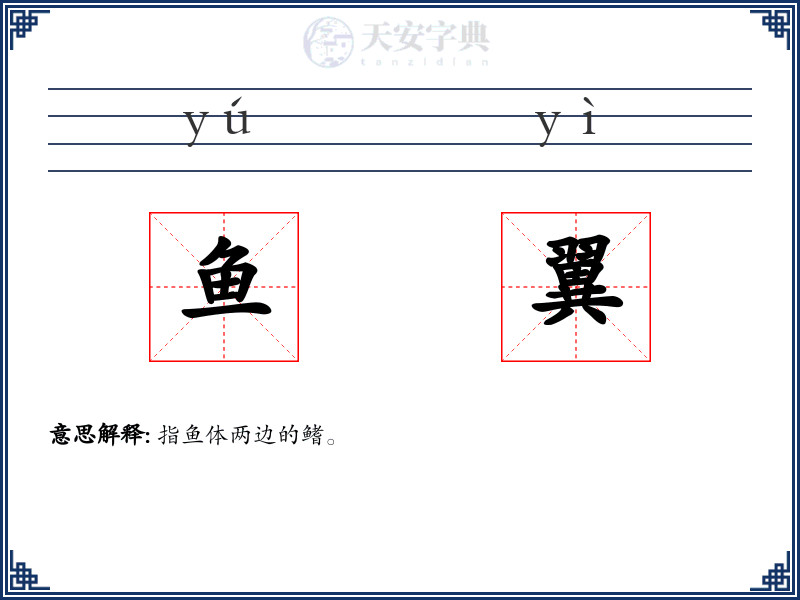 鱼翼