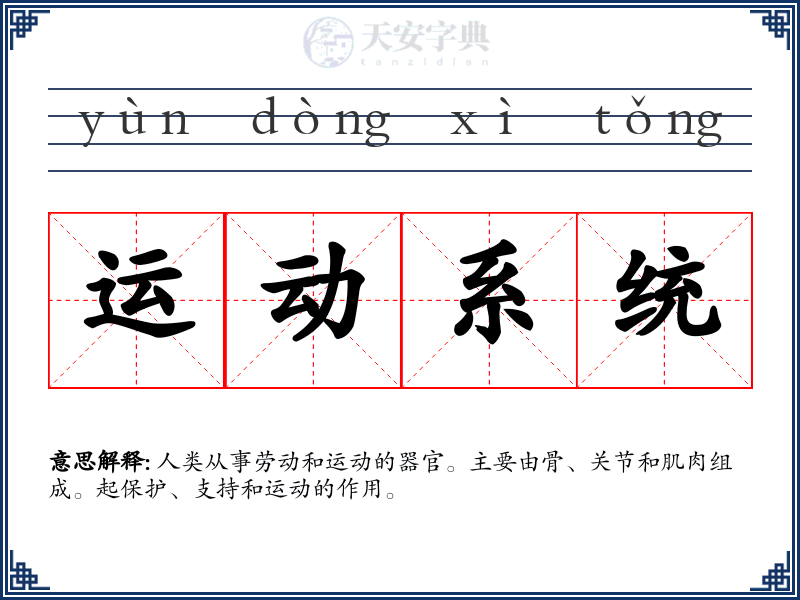 运动系统