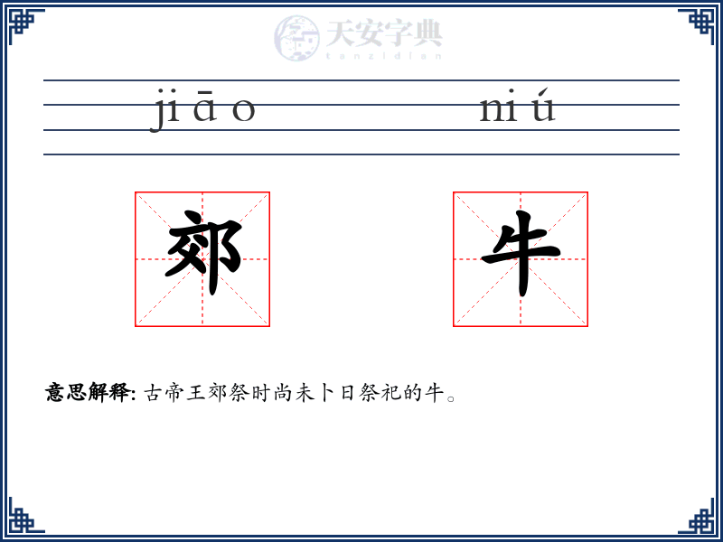 郊牛