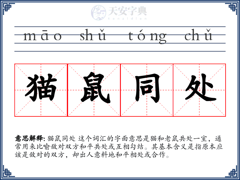 猫鼠同处