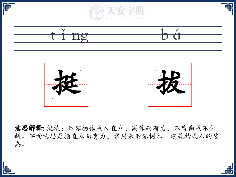 挺拔