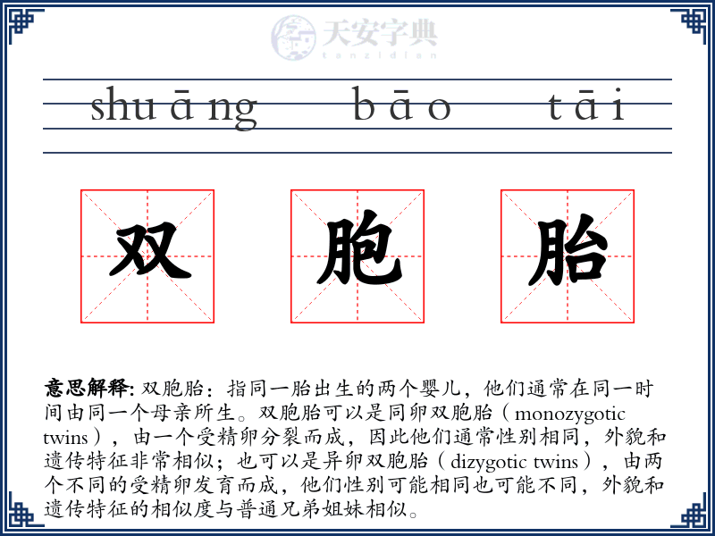 双胞胎