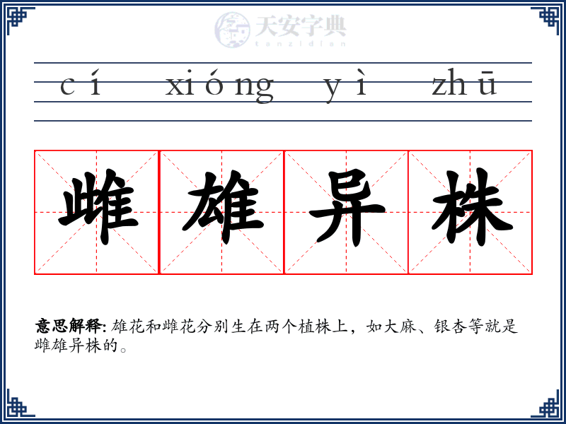 雌雄异株