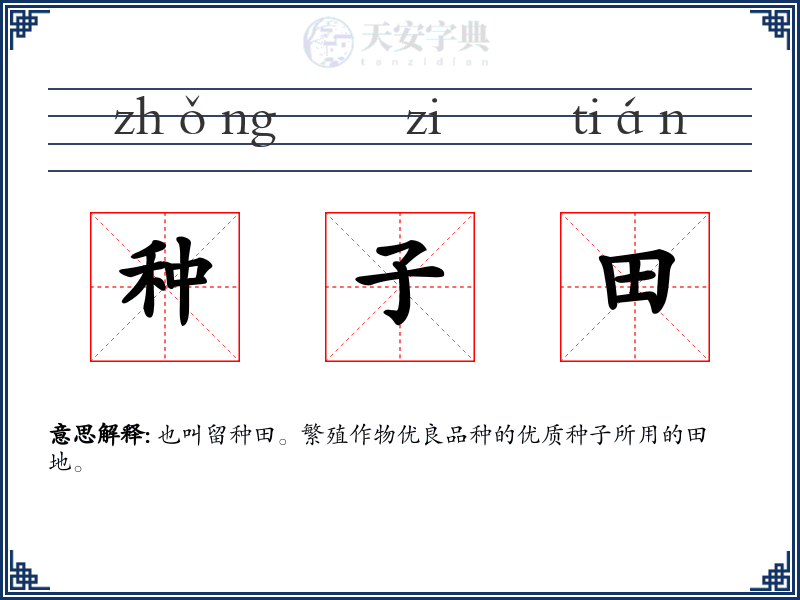 种子田