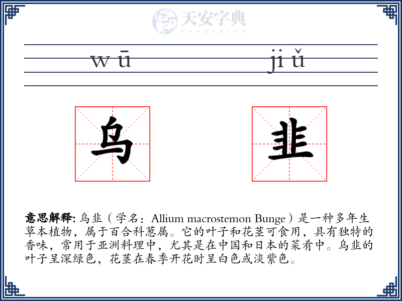 乌韭