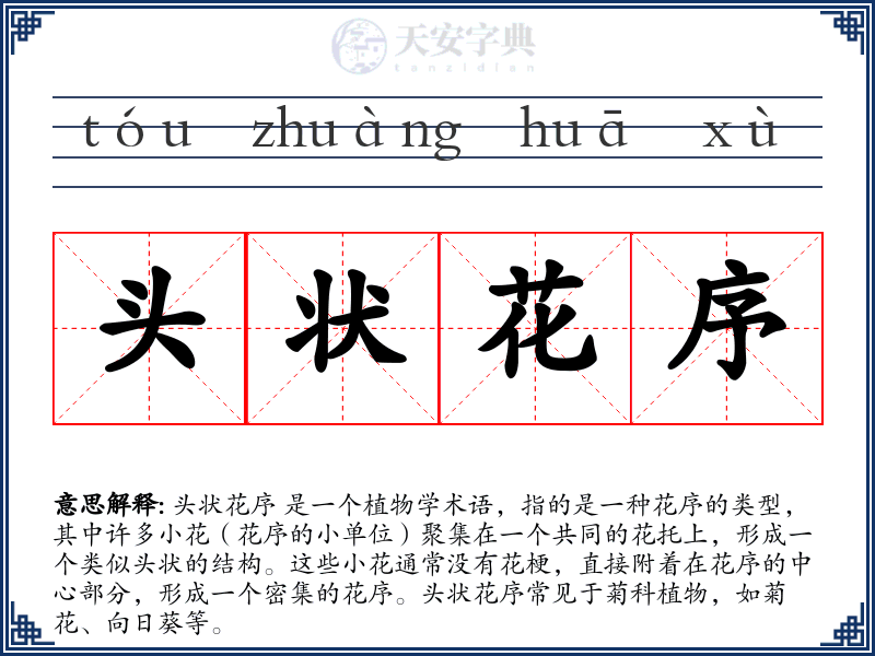 头状花序