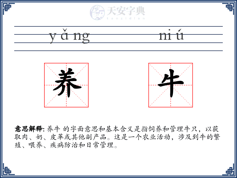 养牛