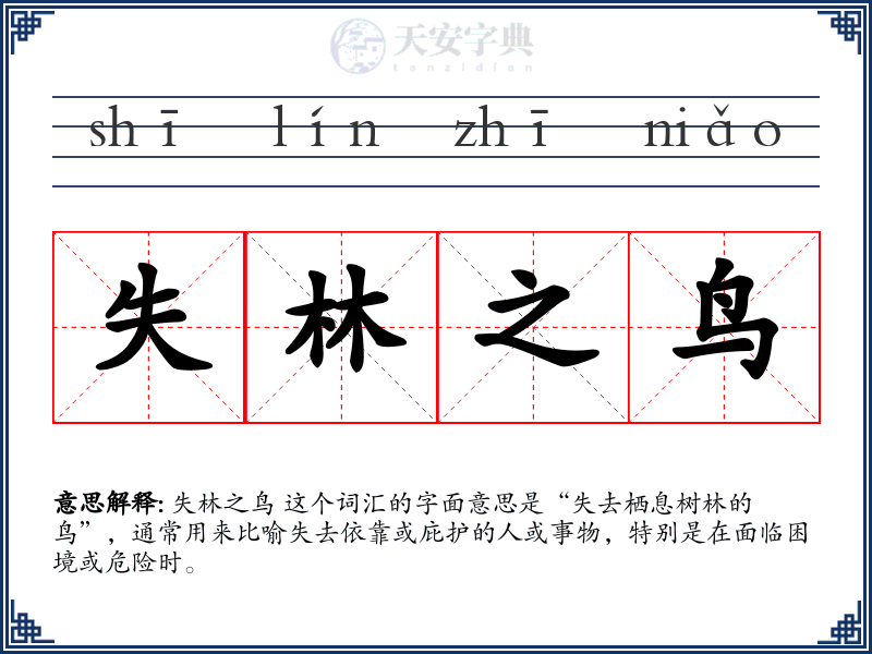 失林之鸟