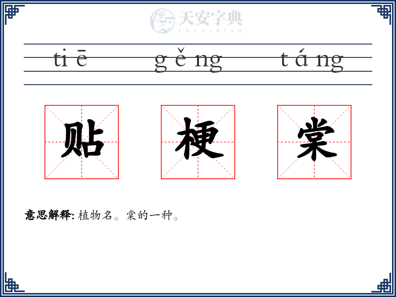 贴梗棠