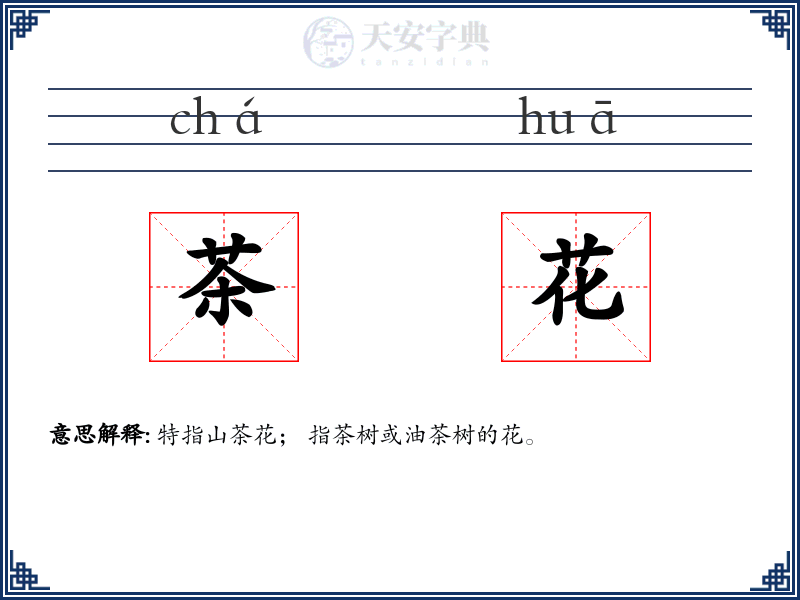 茶花