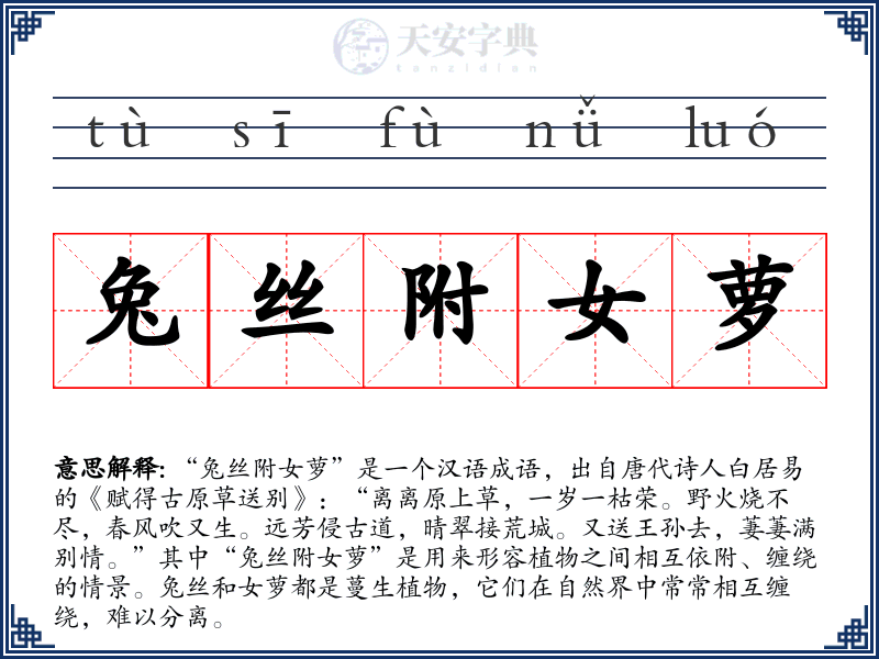 兔丝附女萝
