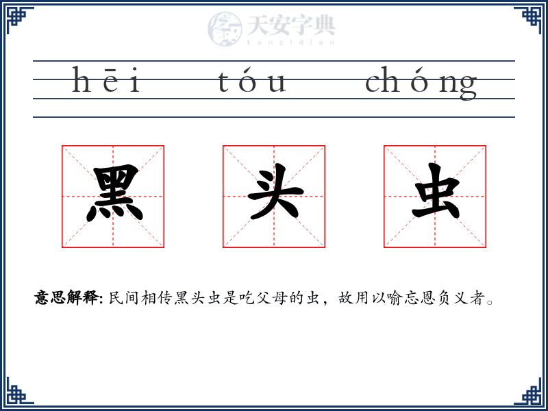 黑头虫