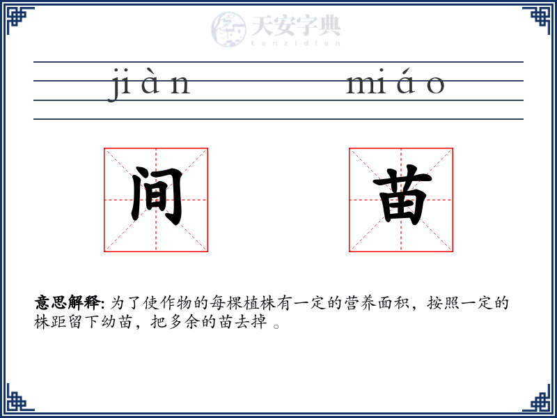 间苗
