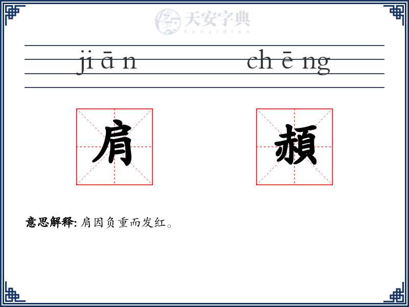 肩頳