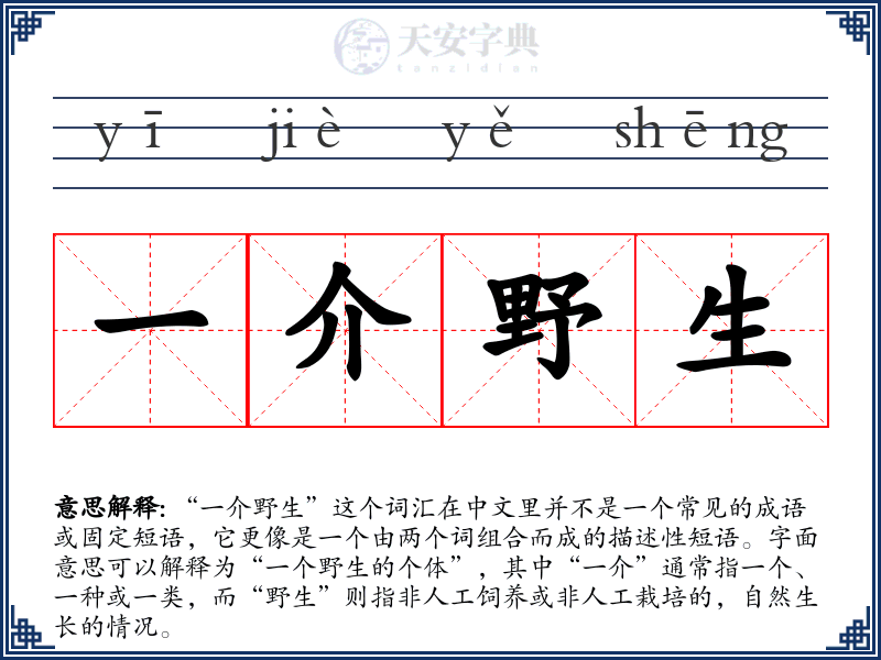 一介野生