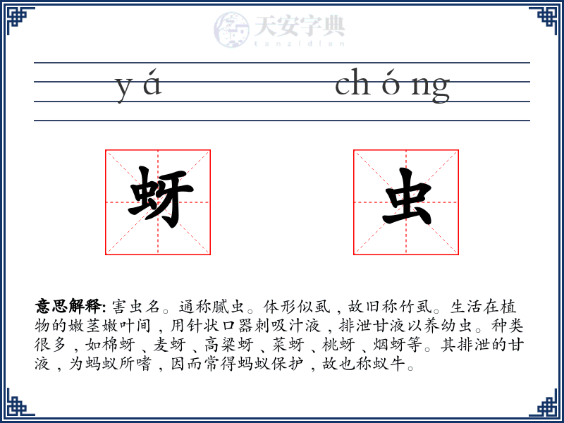 蚜虫