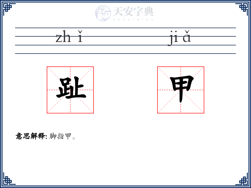 趾甲