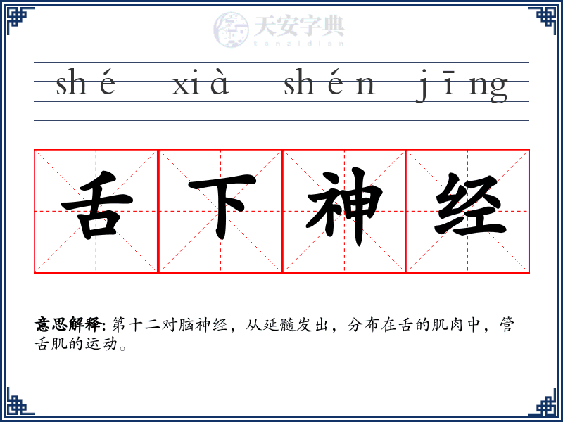舌下神经