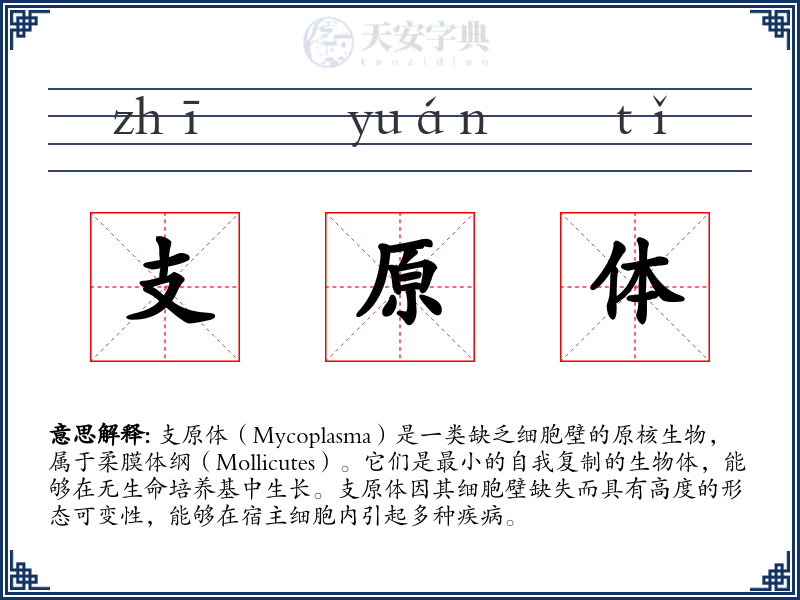 支原体