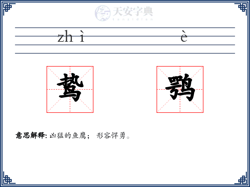 鸷鹗