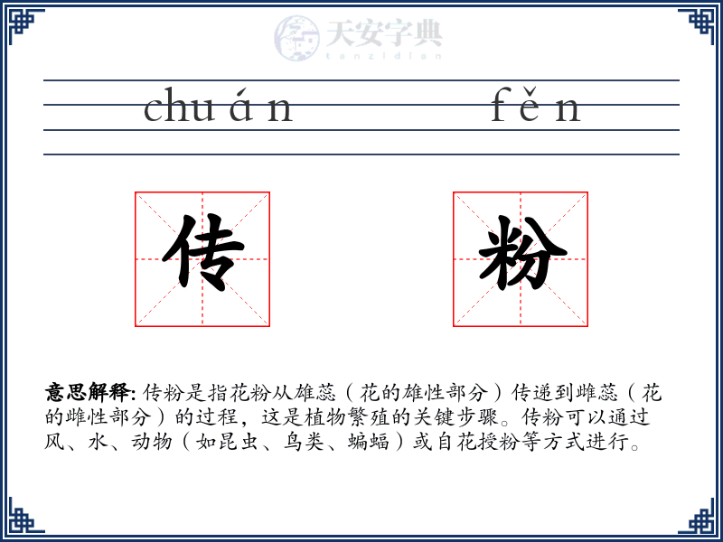 传粉