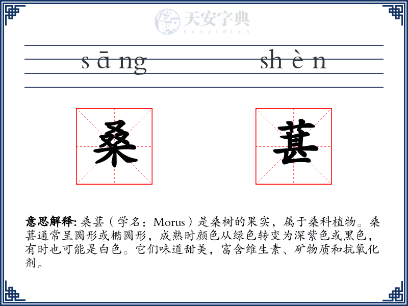 桑葚