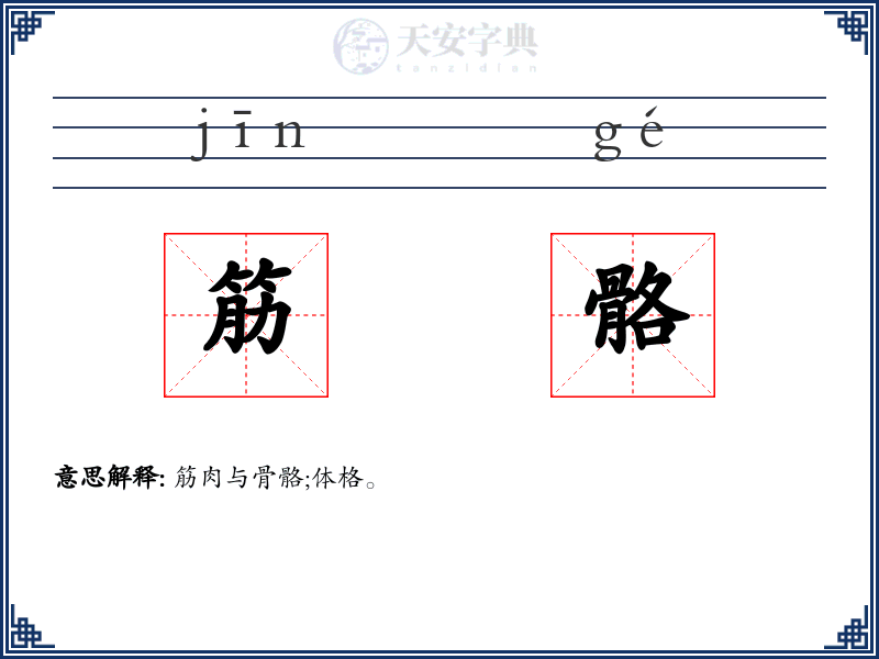 筋骼