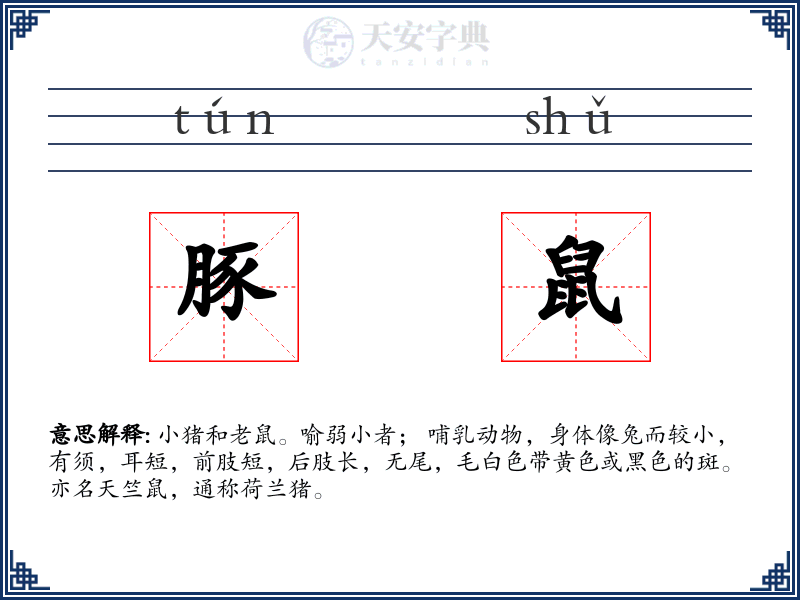 豚鼠