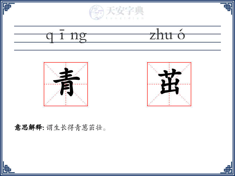 青茁