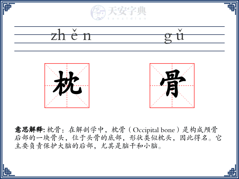 枕骨
