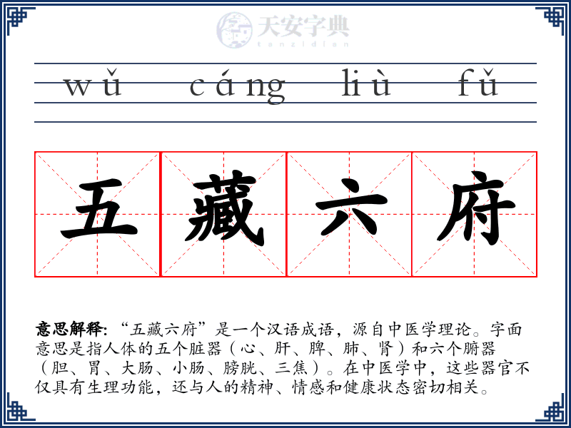 五藏六府
