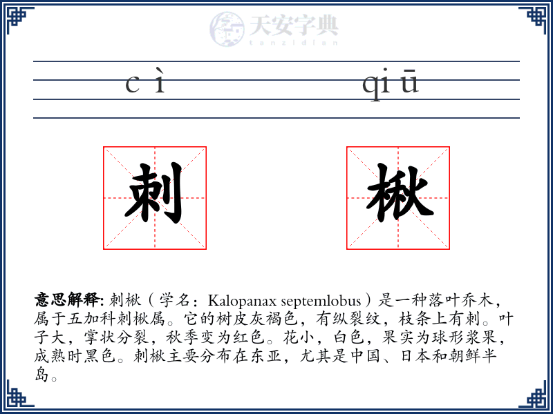 刺楸