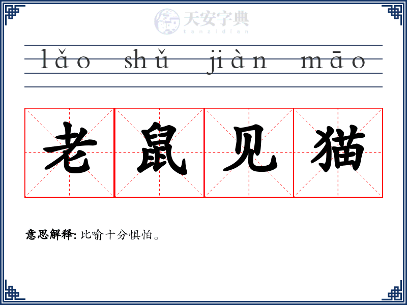 老鼠见猫
