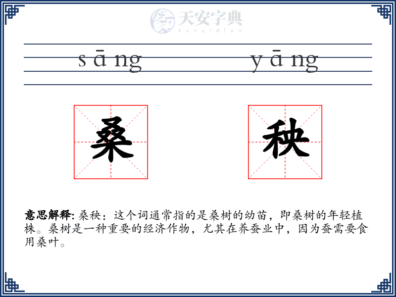 桑秧