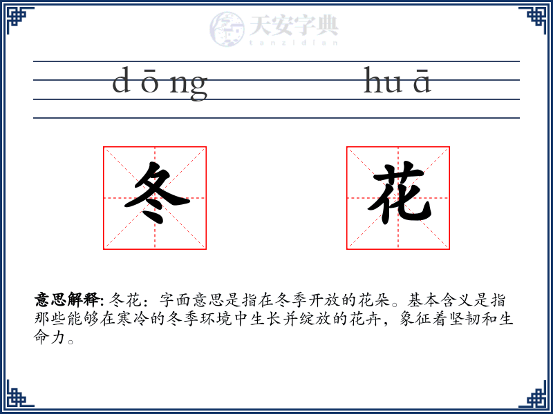 冬花