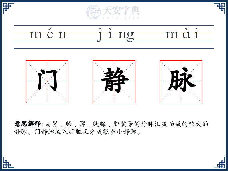 门静脉