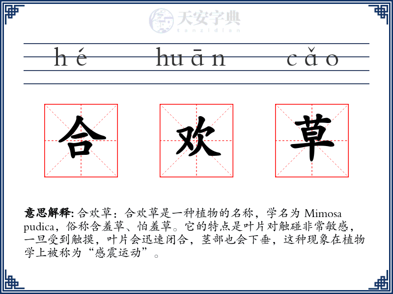 合欢草