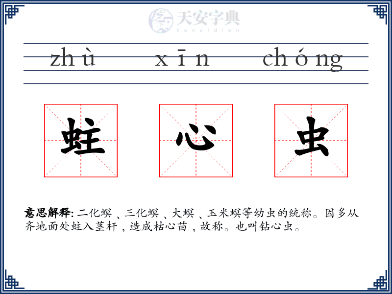 蛀心虫