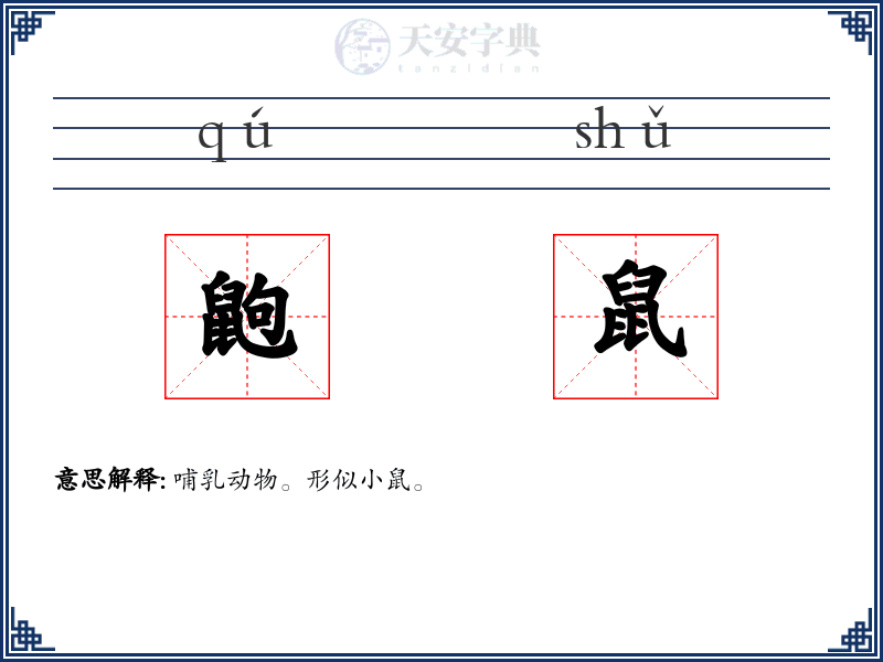 鼩鼠