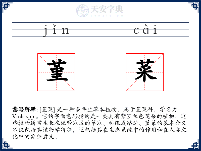 堇菜